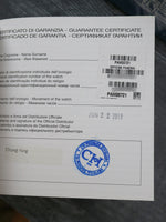 41067: Panerai Radiomir 3 Days Acciaio, Manual, PAM00721, Box and Papers 2019