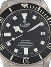 35897:  Tudor Titanium Pelagos, Ref. 25600TN, Full Set